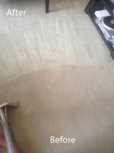 Carpet-Cleaning-Morgan Hill