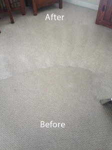 Wall-To-Wall-Carpet-Cleaning-Morgan Hill